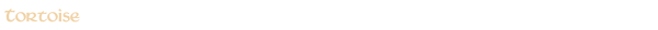 Tortoise